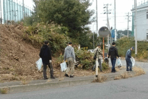 環境ボランティア活動へ参加しました